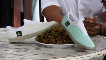 Mexicano crea zapatos con suela hecha de sargazo y PET