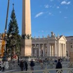 El árbol de Navidad 2023 llega a la Plaza de San Pedro