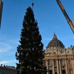 Instalan el árbol de Navidad en la Plaza de San Pedro